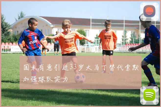 国米有意引进33岁大马丁替代索默加强球队实力
